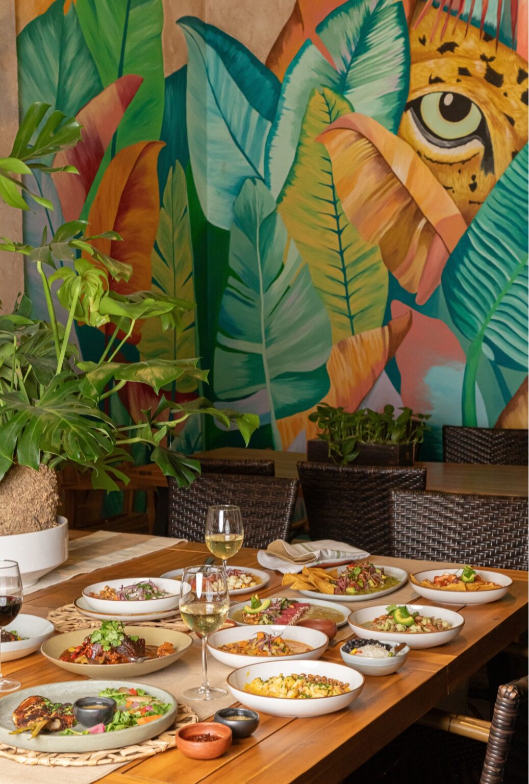 Jaguar Restaurant Coconut Grove